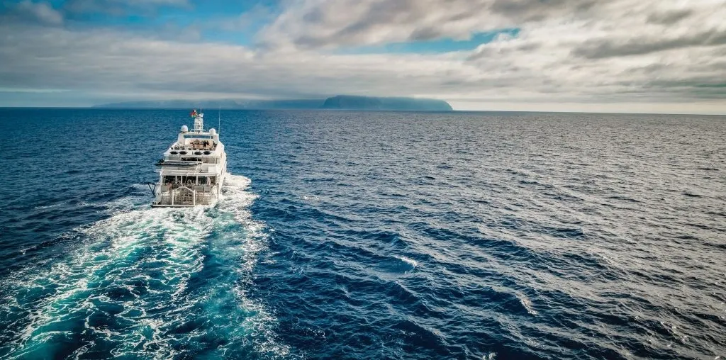 Nautilus Belle Amie — фото 4, дайвинг Мексика