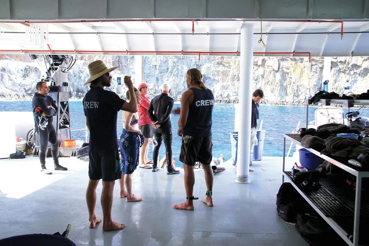 Nautilus Belle Amie — фото 6, дайвинг Мексика