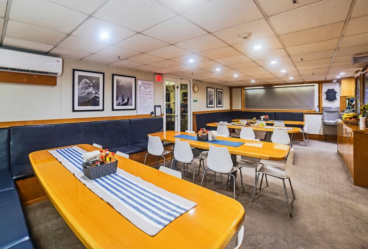 Nautilus Belle Amie — фото 7, дайвинг Мексика