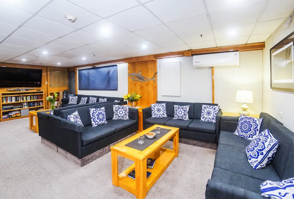 Nautilus Belle Amie — фото 9, дайвинг Мексика