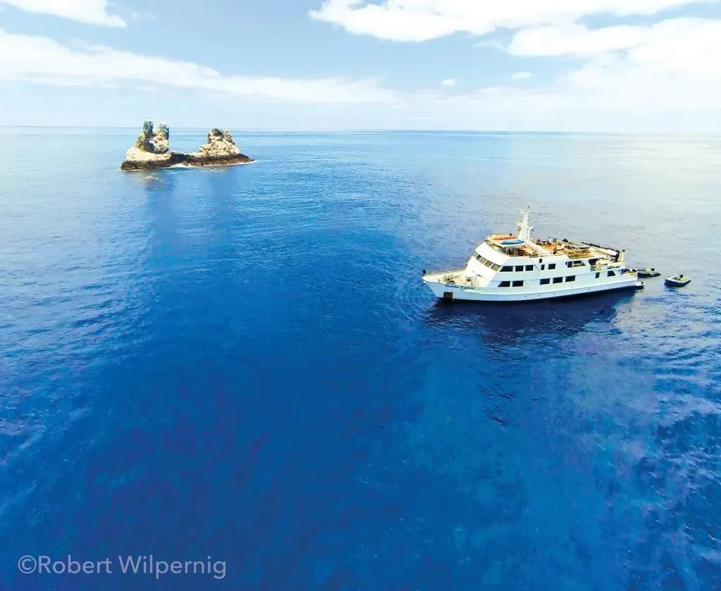 Nautilus Explorer — фото 5, дайвинг Мексика
