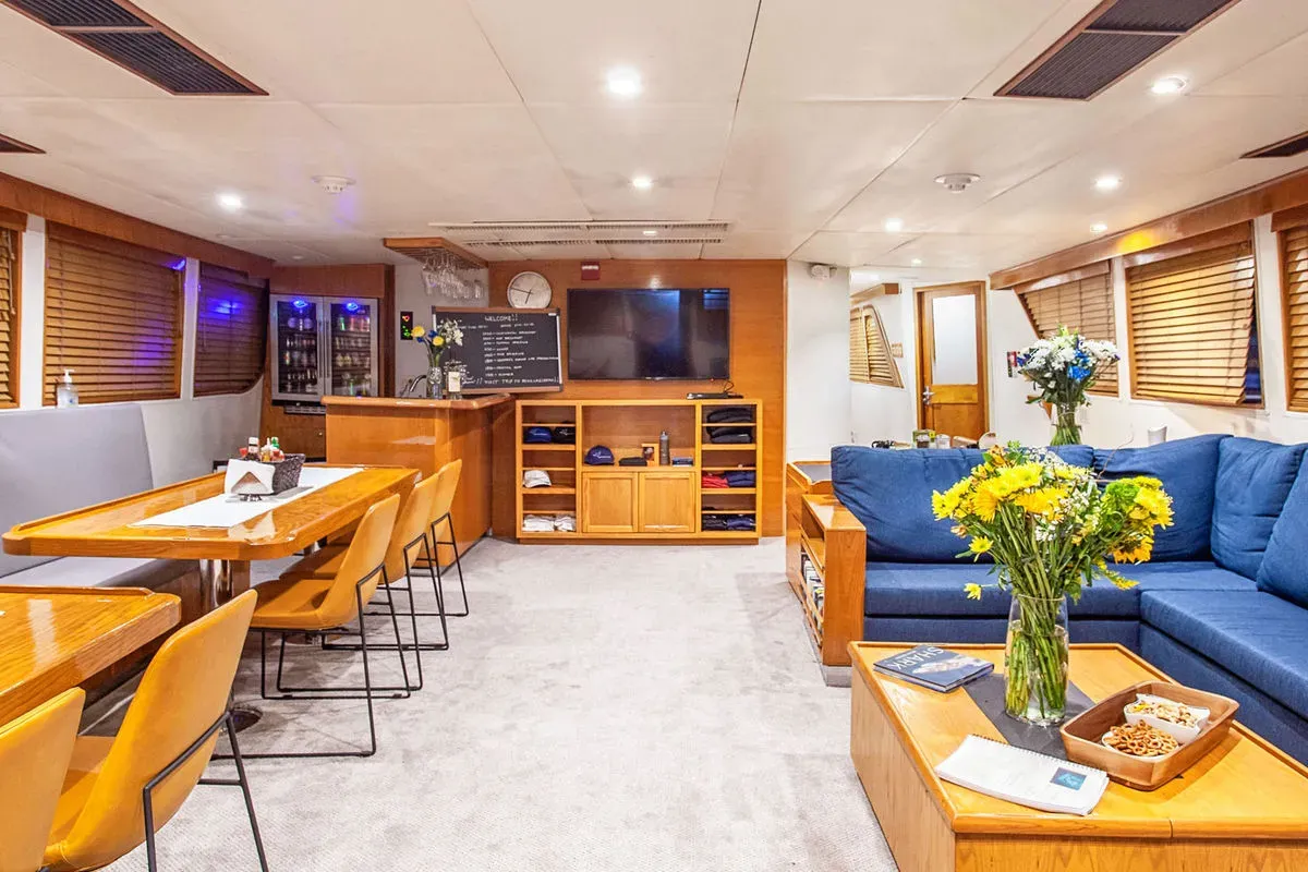 Nautilus Gallant Lady — фото 10, дайвинг Мексика