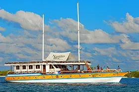 Дайвинг-сафари на Мальдивах на яхте Nautilus One