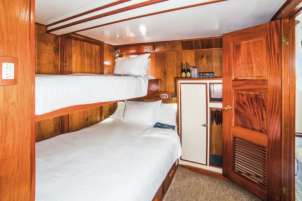 Каюта Stateroom — двухъярусные кровати в отделке из полированного дерева