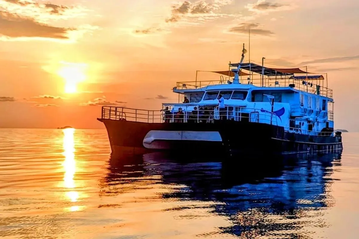 Navis 1 — фото 10, дайвинг Филиппины