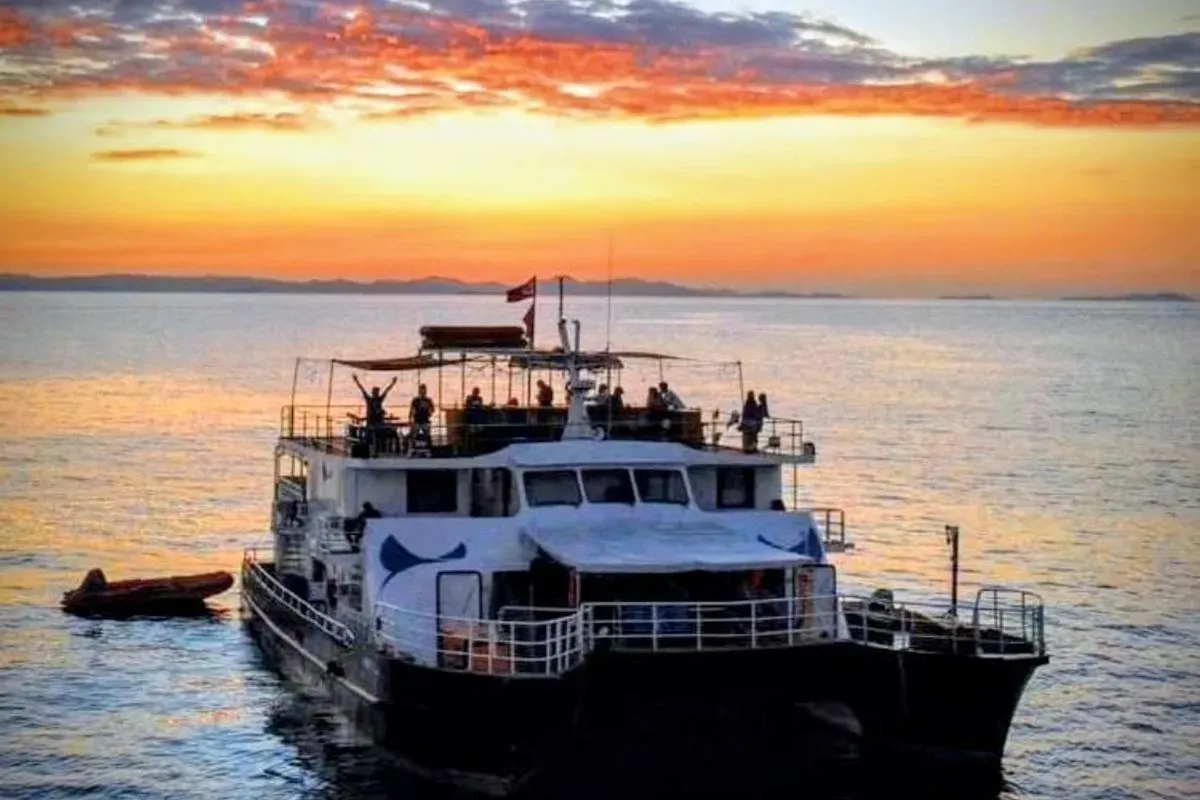 Navis 1 — фото 8, дайвинг Филиппины