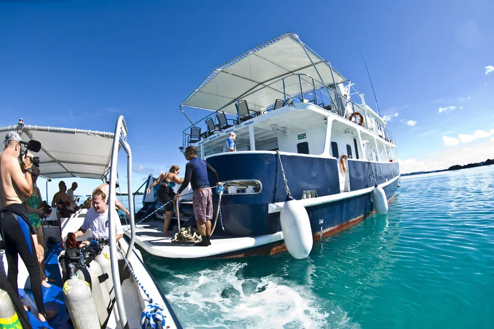 Divers returning aboard Ocean Hunter 3 from the chase boat