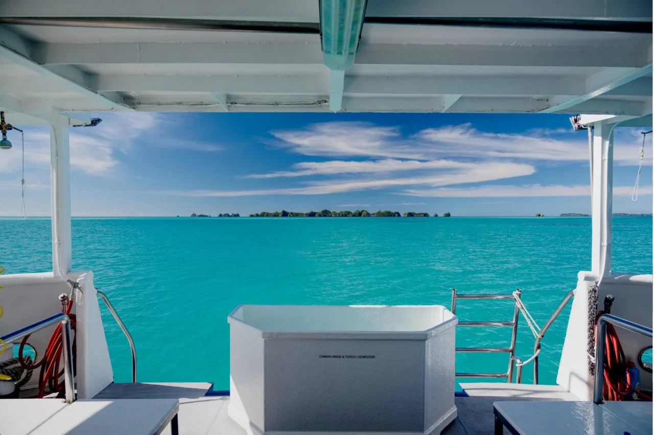 Dive deck of Ocean Hunter 3 with the entry to the water