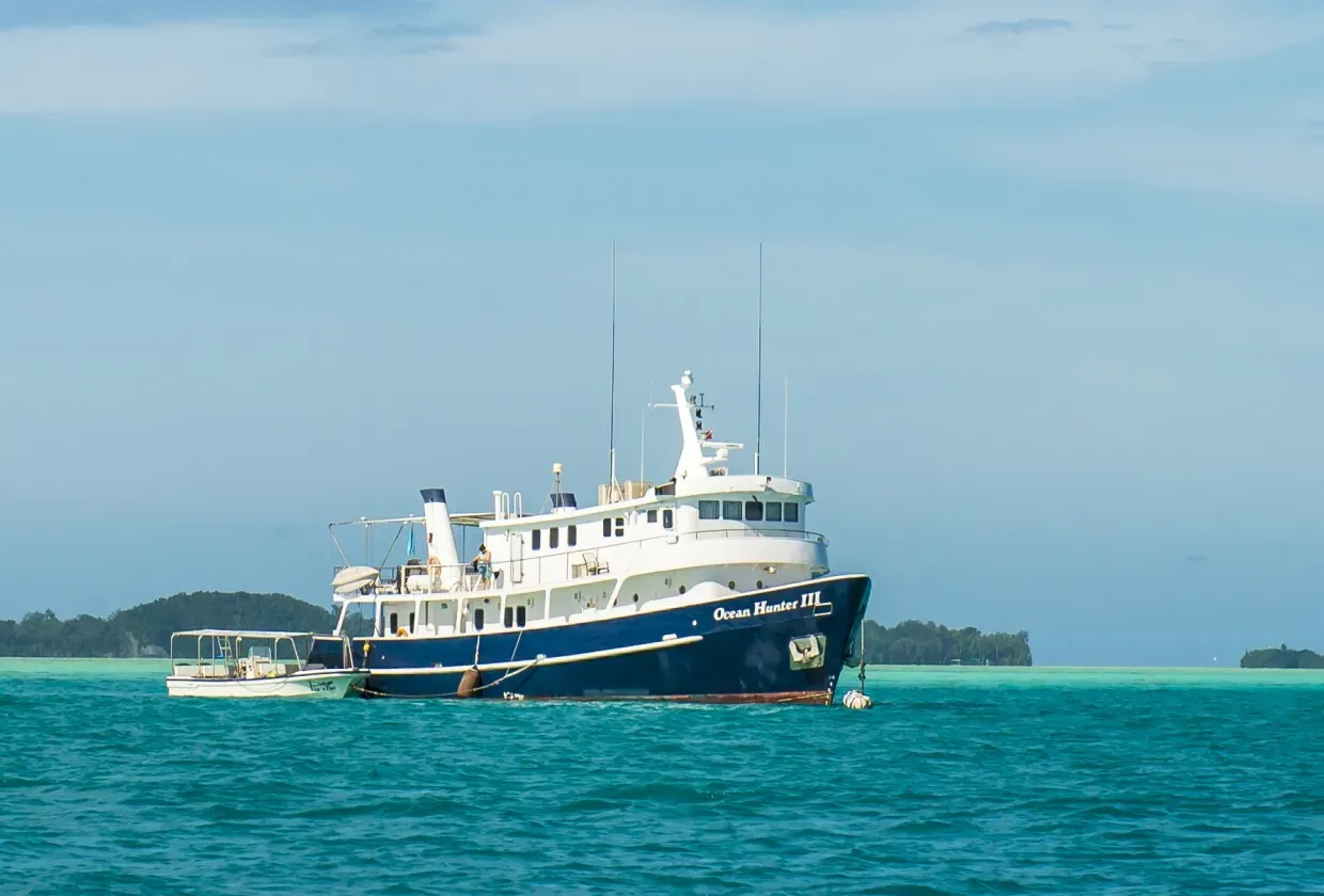 Ocean Hunter III — лайвборд для дайвинг-сафари на Палау