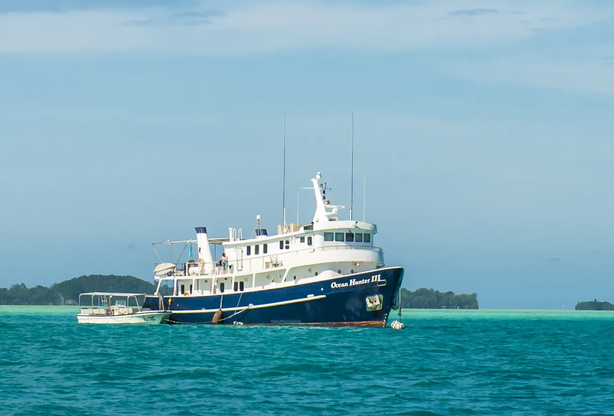 Ocean Hunter III — лайвборд для дайвинг-сафари на Палау
