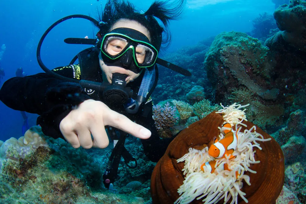 Diver pointing out a clownfish in its anemone