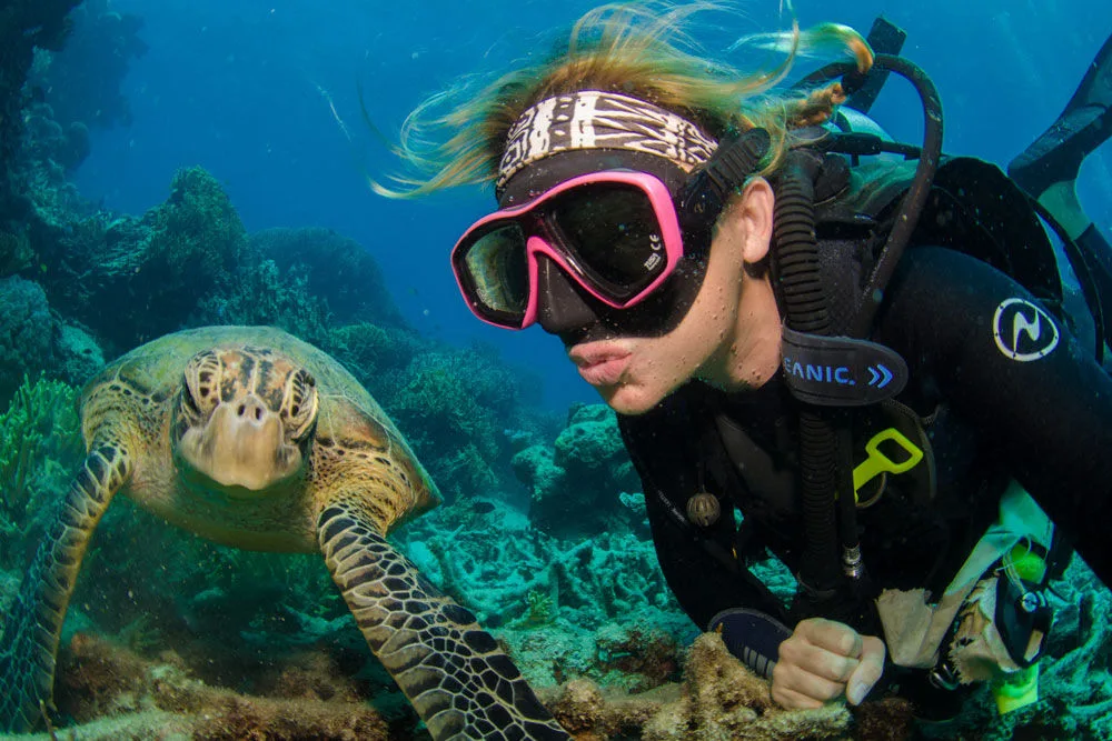 Close-up of a green turtle on the reef