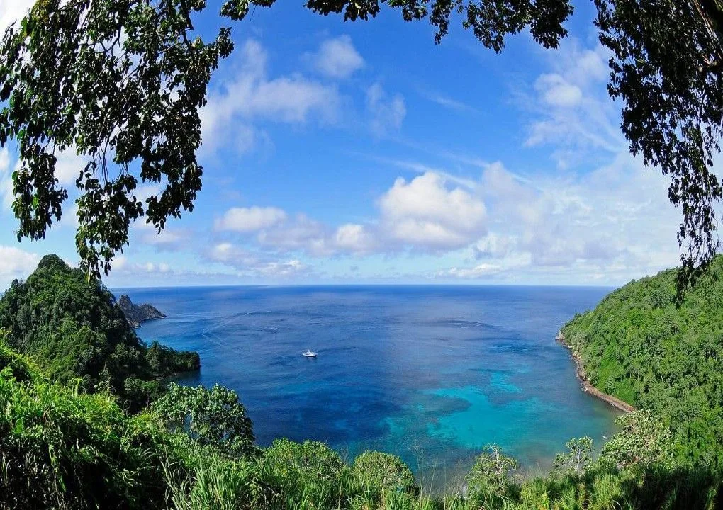 Cocos Island bay seen from the jungle