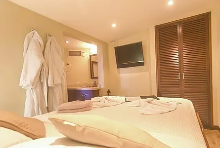 Master Stateroom — фото каюты