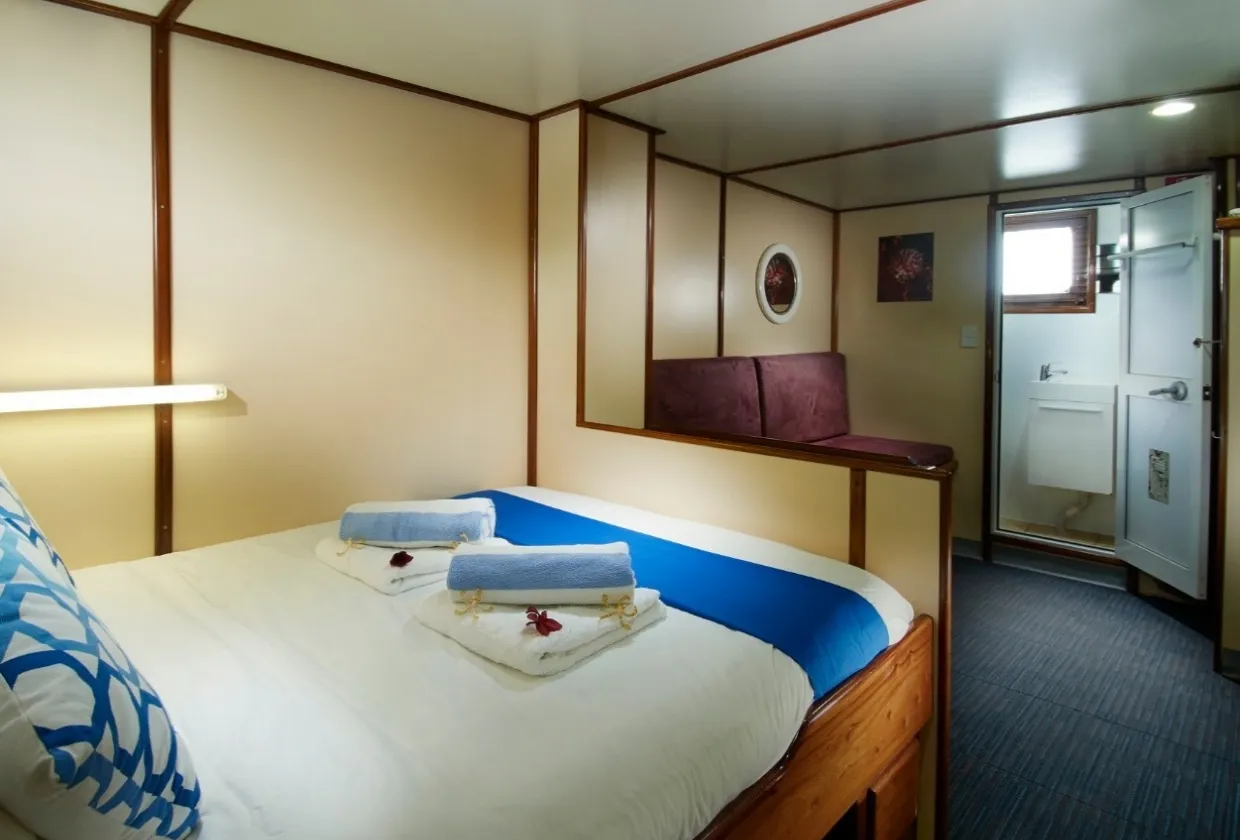 Premium Twin/Double cabin on the upper deck of Pacific Master