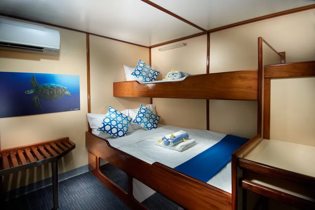 Classic Twin/Double cabin with a bunk above the bed on Pacific Master