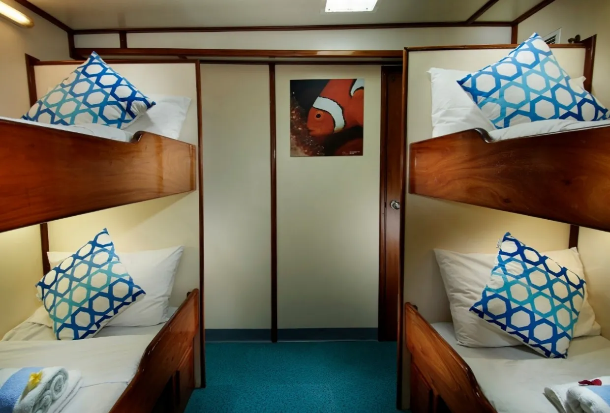 Standard Twin cabin on the lower deck of Pacific Master