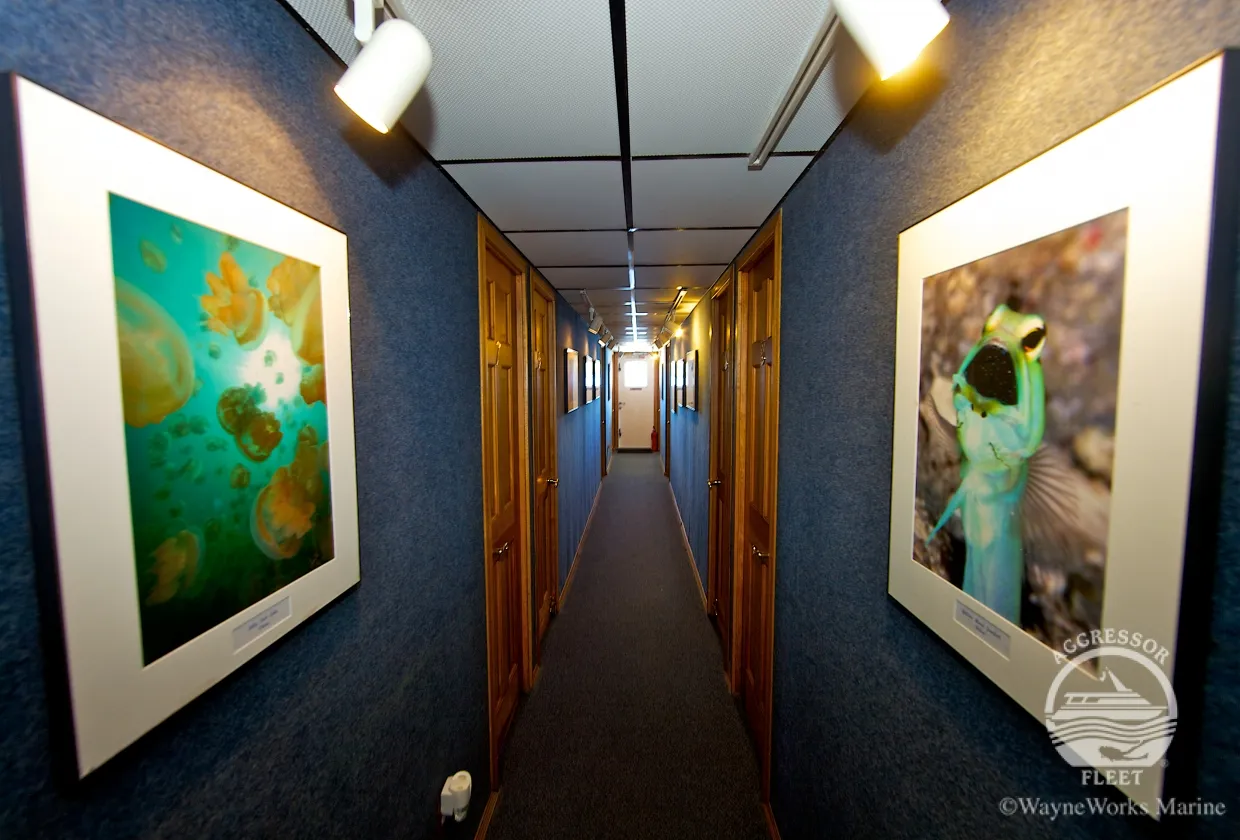 Cabin corridor of Palau Aggressor II with underwater photographs