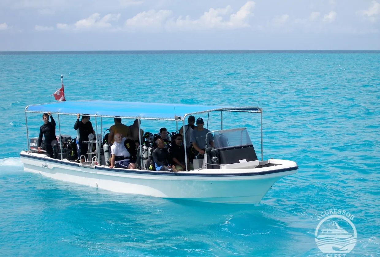 The Palau Aggressor II skiff with divers on turquoise water