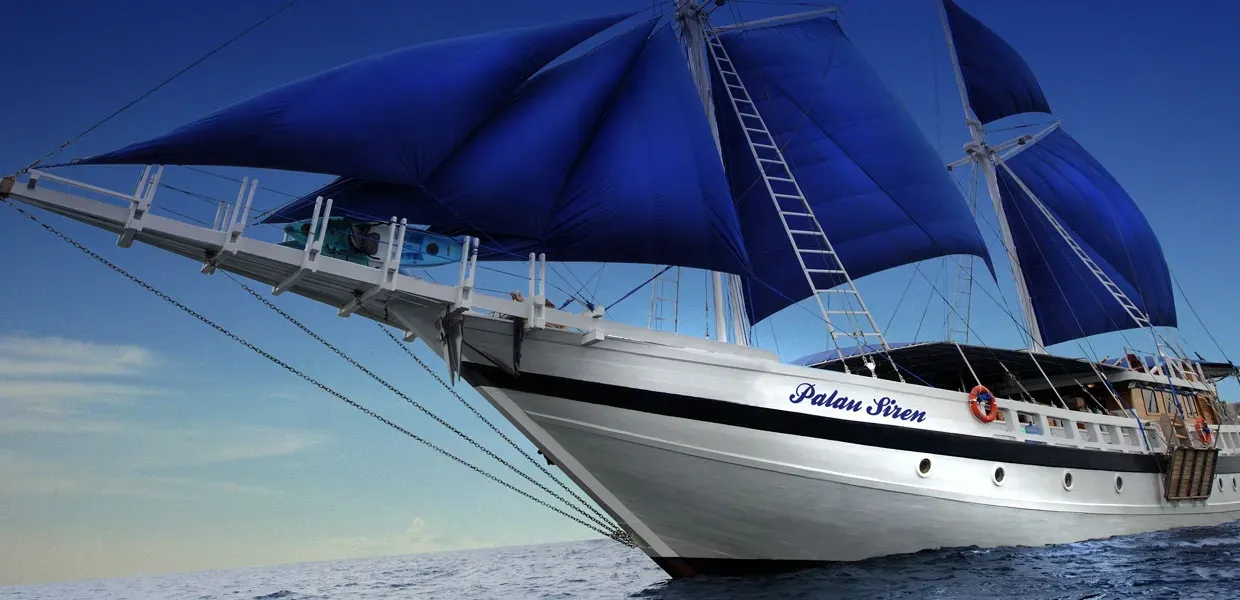 Palau Siren — лайвборд для дайвинг-сафари на Палау