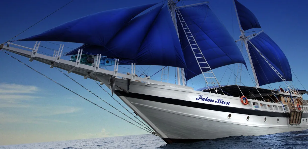 Palau Siren — лайвборд для дайвинг-сафари на Палау