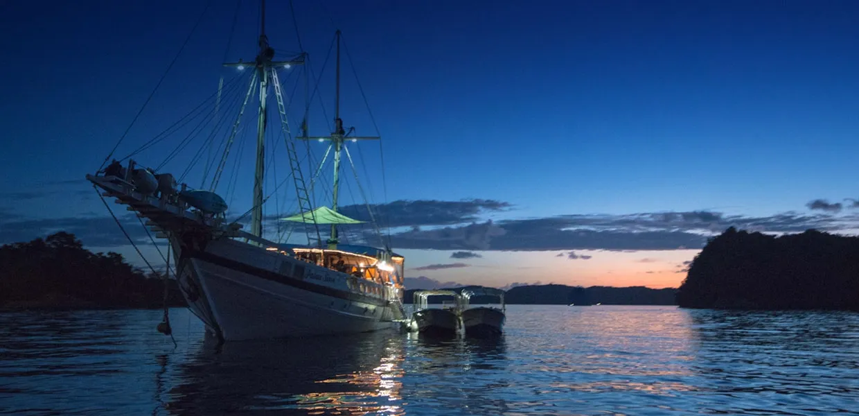 Palau Siren — фото 16, дайвинг Палау