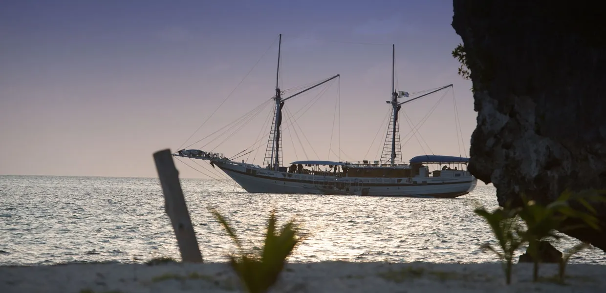 Palau Siren — фото 17, дайвинг Палау