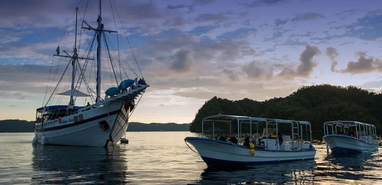 Palau Siren — фото 2, дайвинг Палау