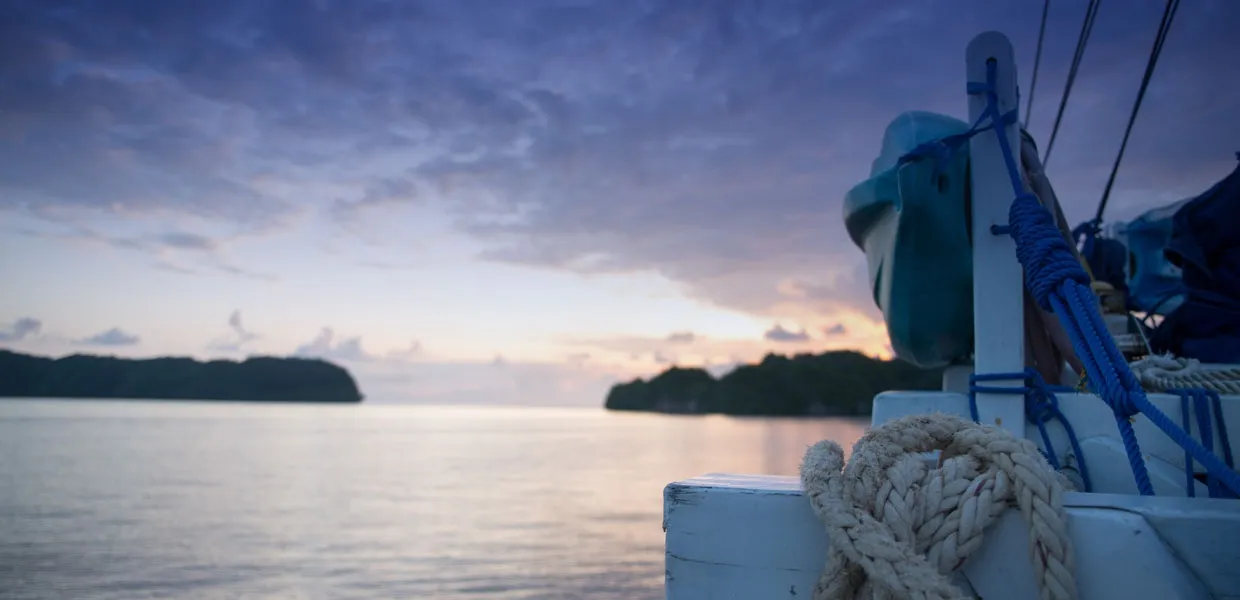 Palau Siren — фото 3, дайвинг Палау