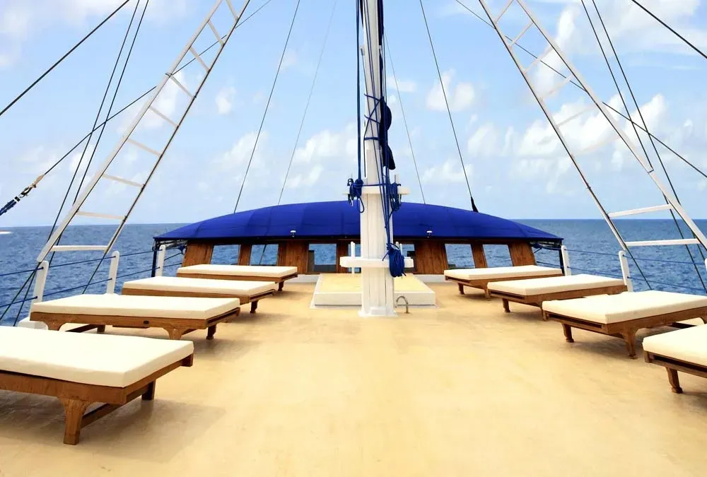 Palau Siren — фото 4, дайвинг Палау