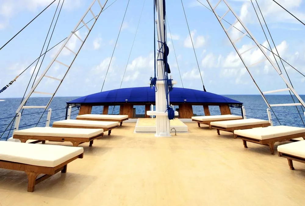 Palau Siren — фото 4, дайвинг Палау