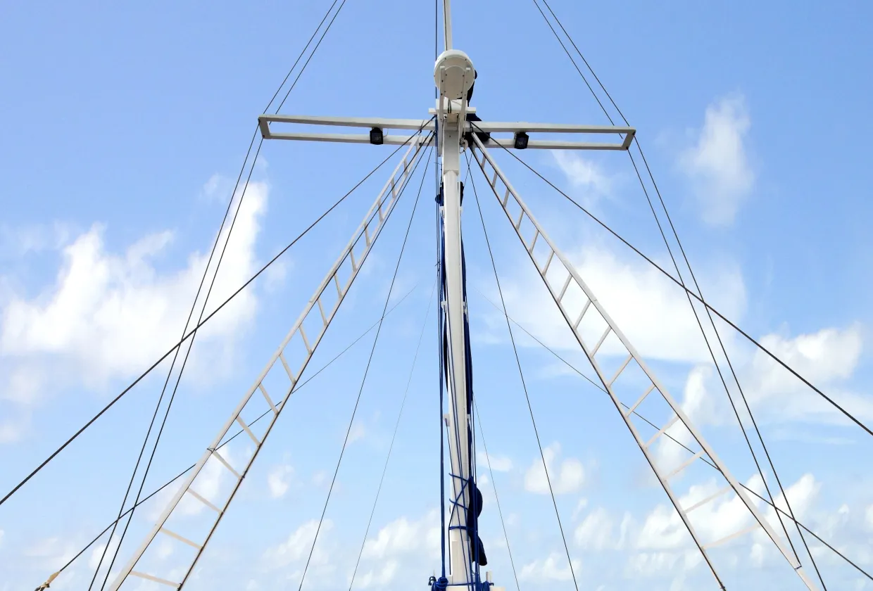 Palau Siren — фото 5, дайвинг Палау