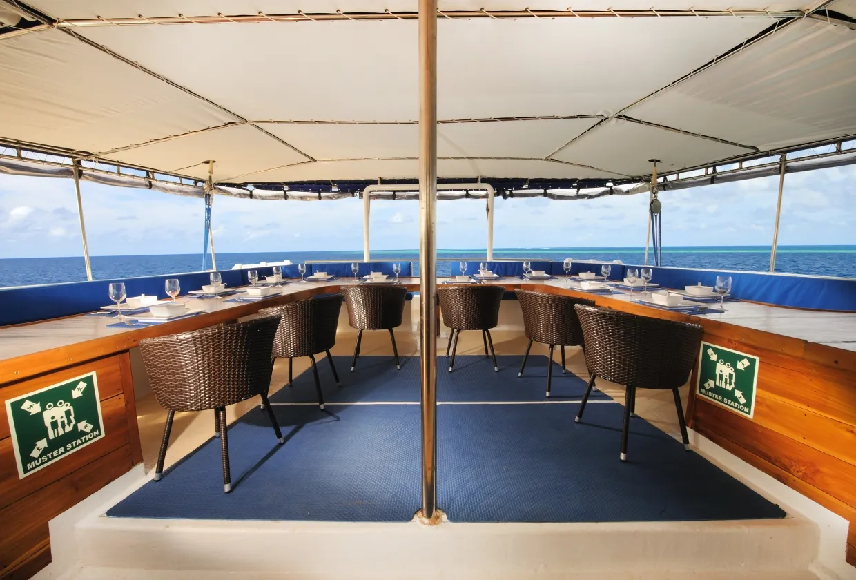 Palau Siren — фото 6, дайвинг Палау