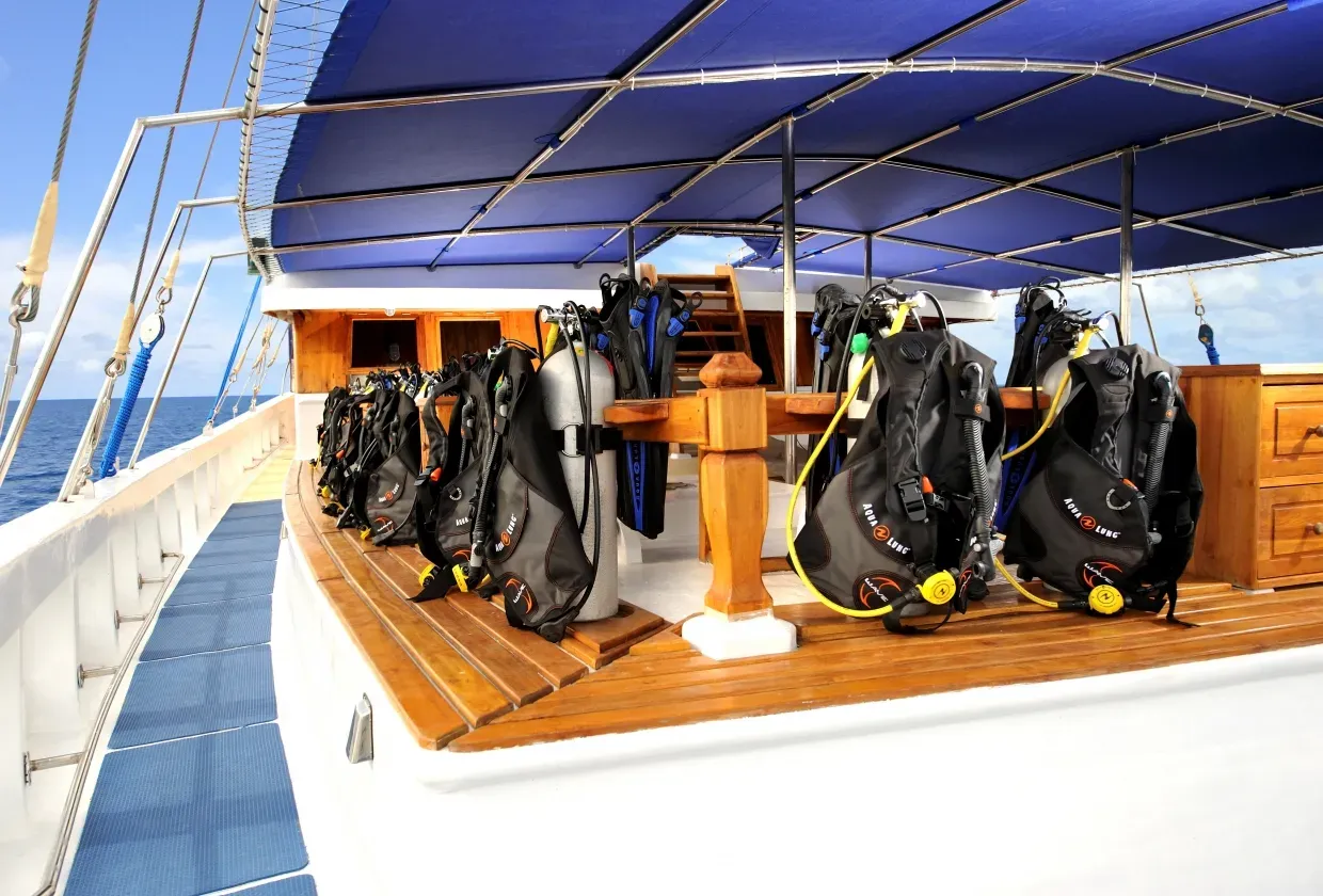 Palau Siren — фото 7, дайвинг Палау