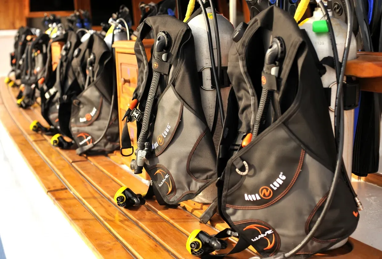 Palau Siren — фото 8, дайвинг Палау