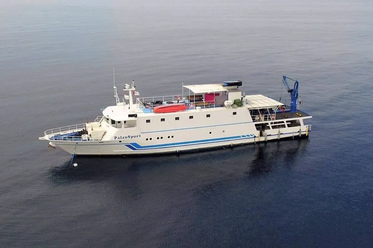 Palau Sport — фото 10, дайвинг Филиппины