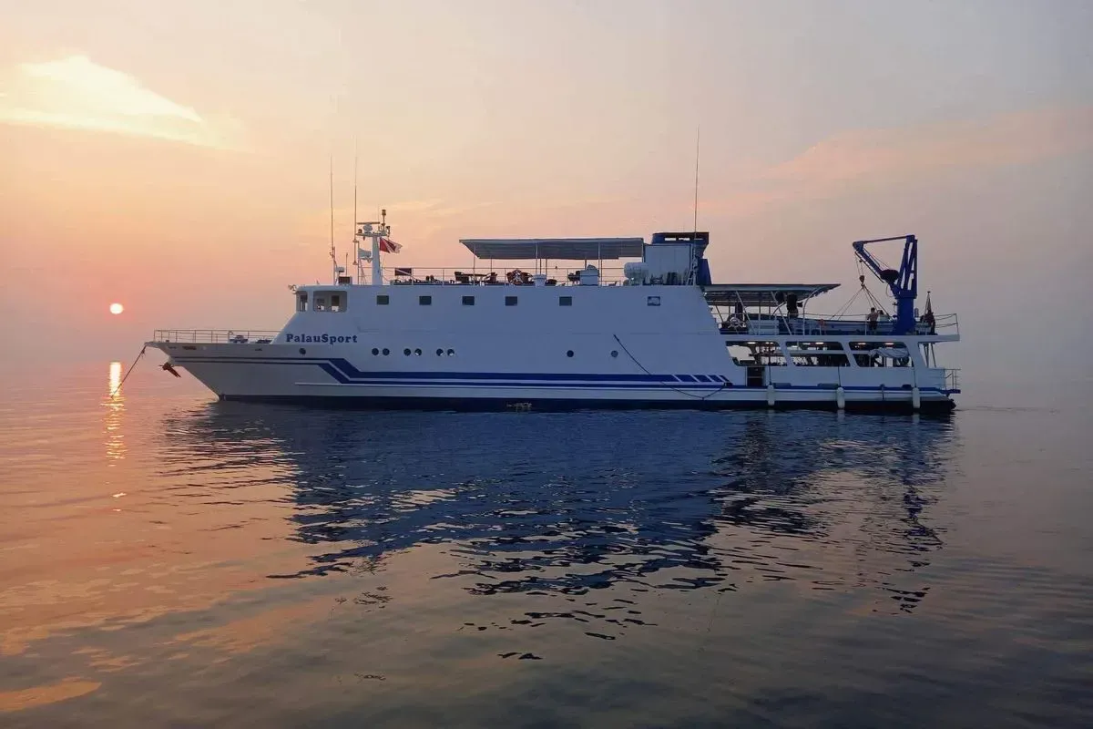 Palau Sport — фото 7, дайвинг Филиппины