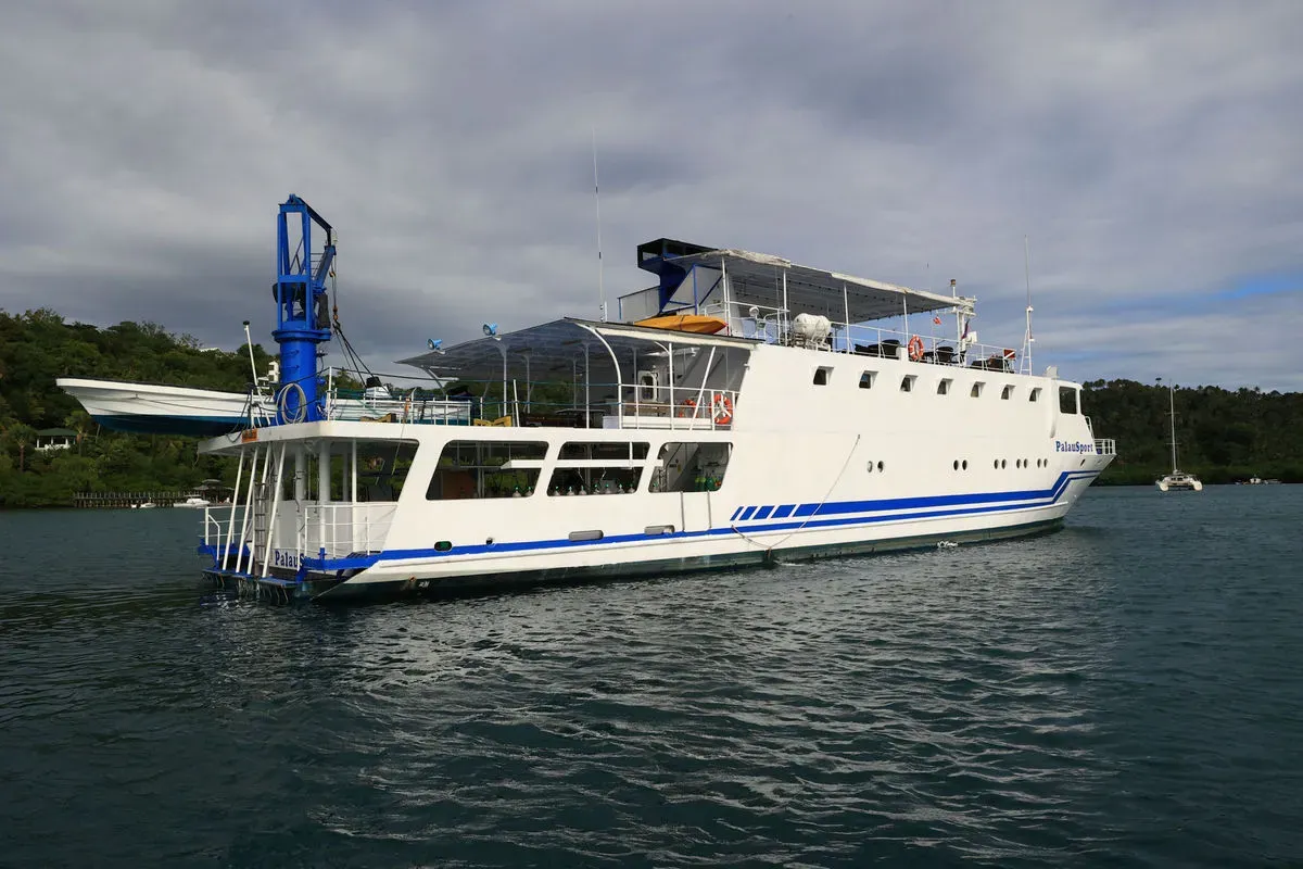 Palau Sport — фото 8, дайвинг Филиппины