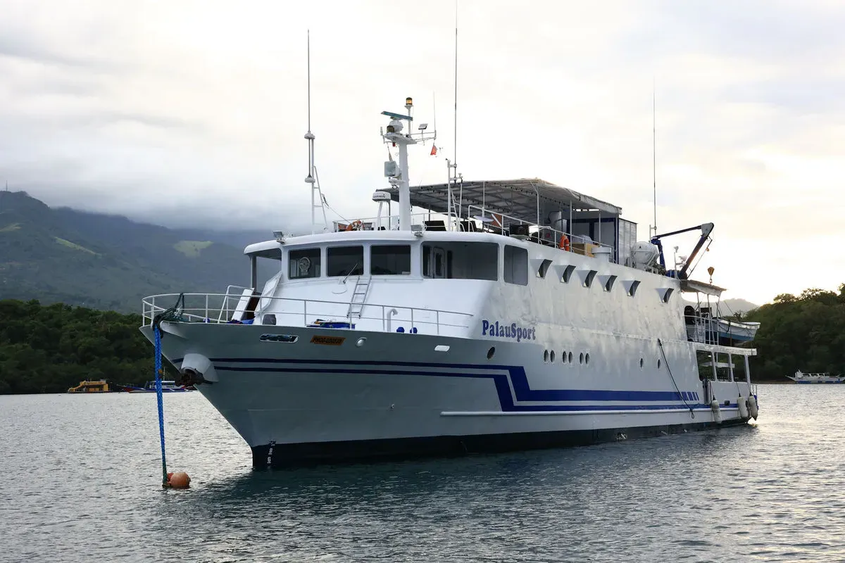 Palau Sport — фото 9, дайвинг Филиппины