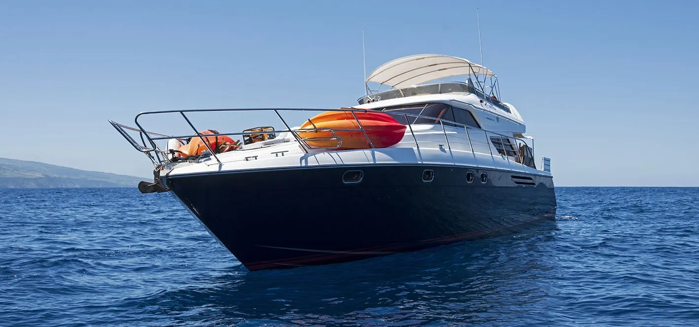 Papa Schillingi - ProWin Pronature Explorer 2