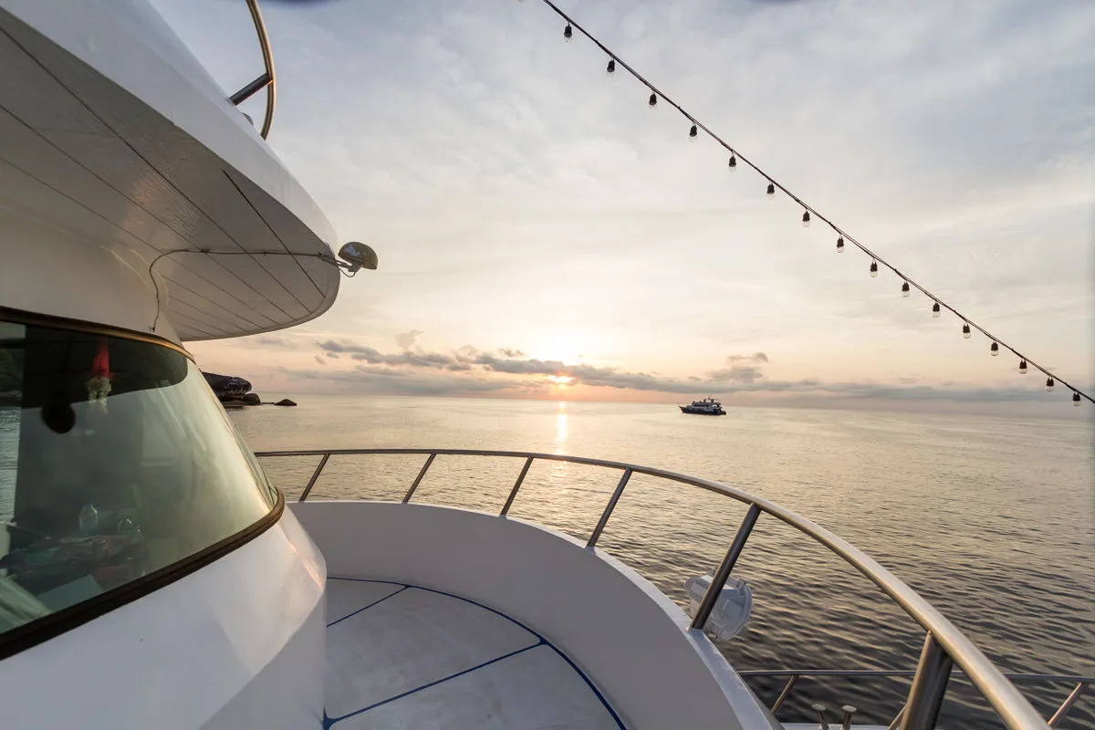 Pawara — фото 13, дайвинг Таиланд