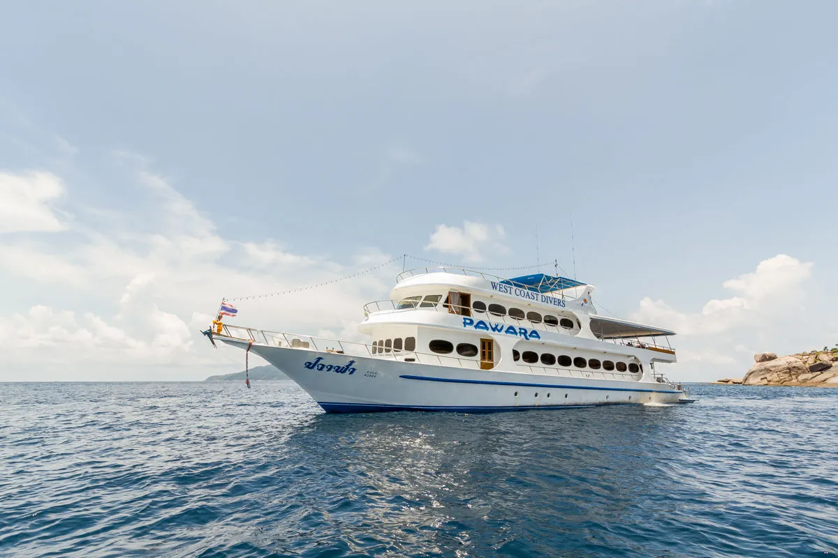 Pawara — фото 9, дайвинг Таиланд