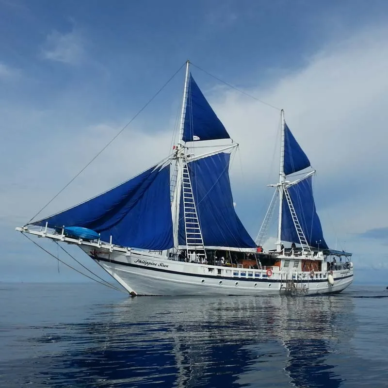 Philippine Siren — фото 16, дайвинг Филиппины