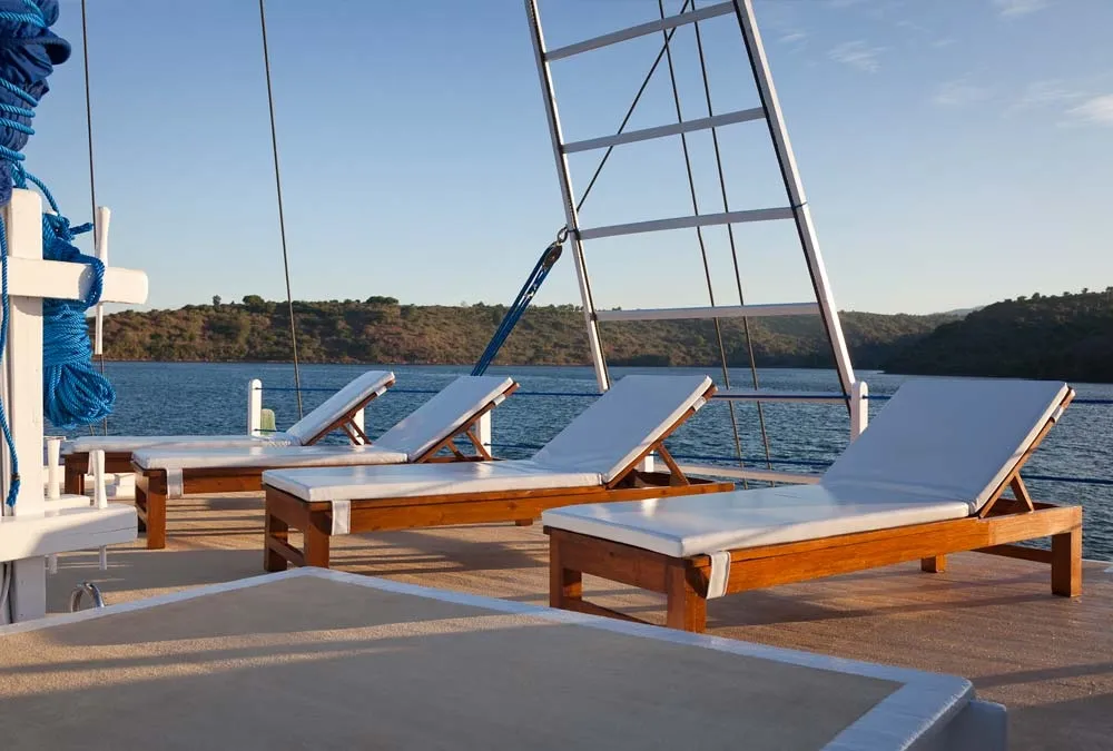 Philippine Siren — фото 2, дайвинг Филиппины