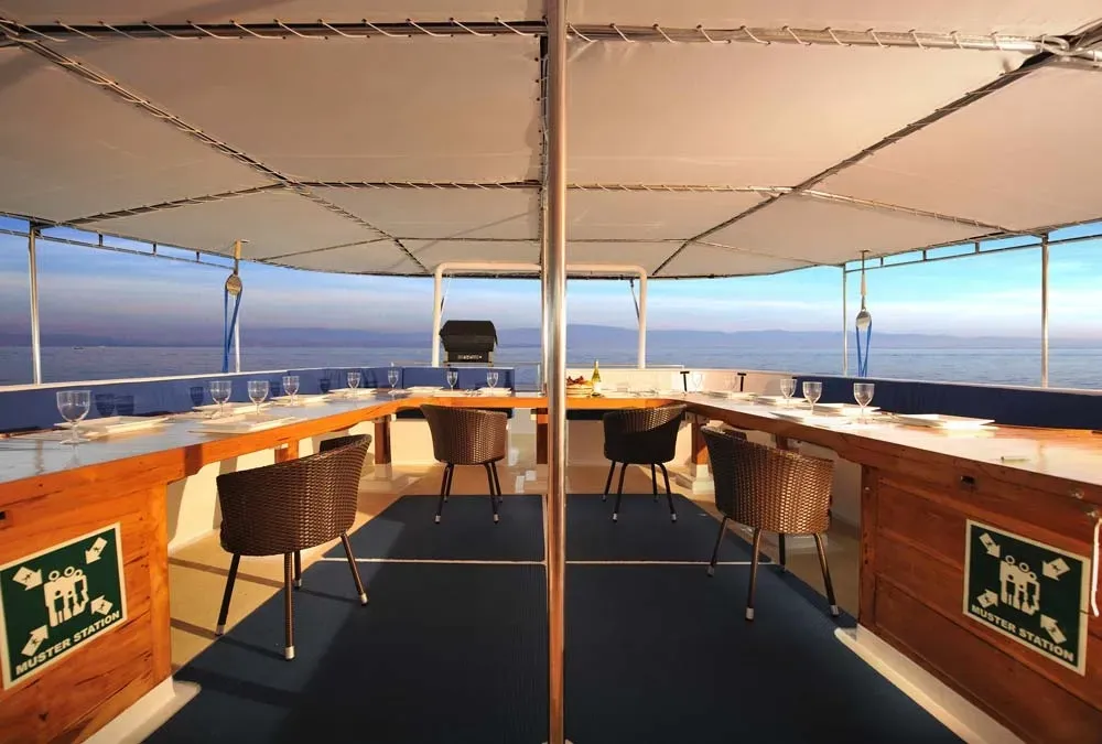 Philippine Siren — фото 3, дайвинг Филиппины