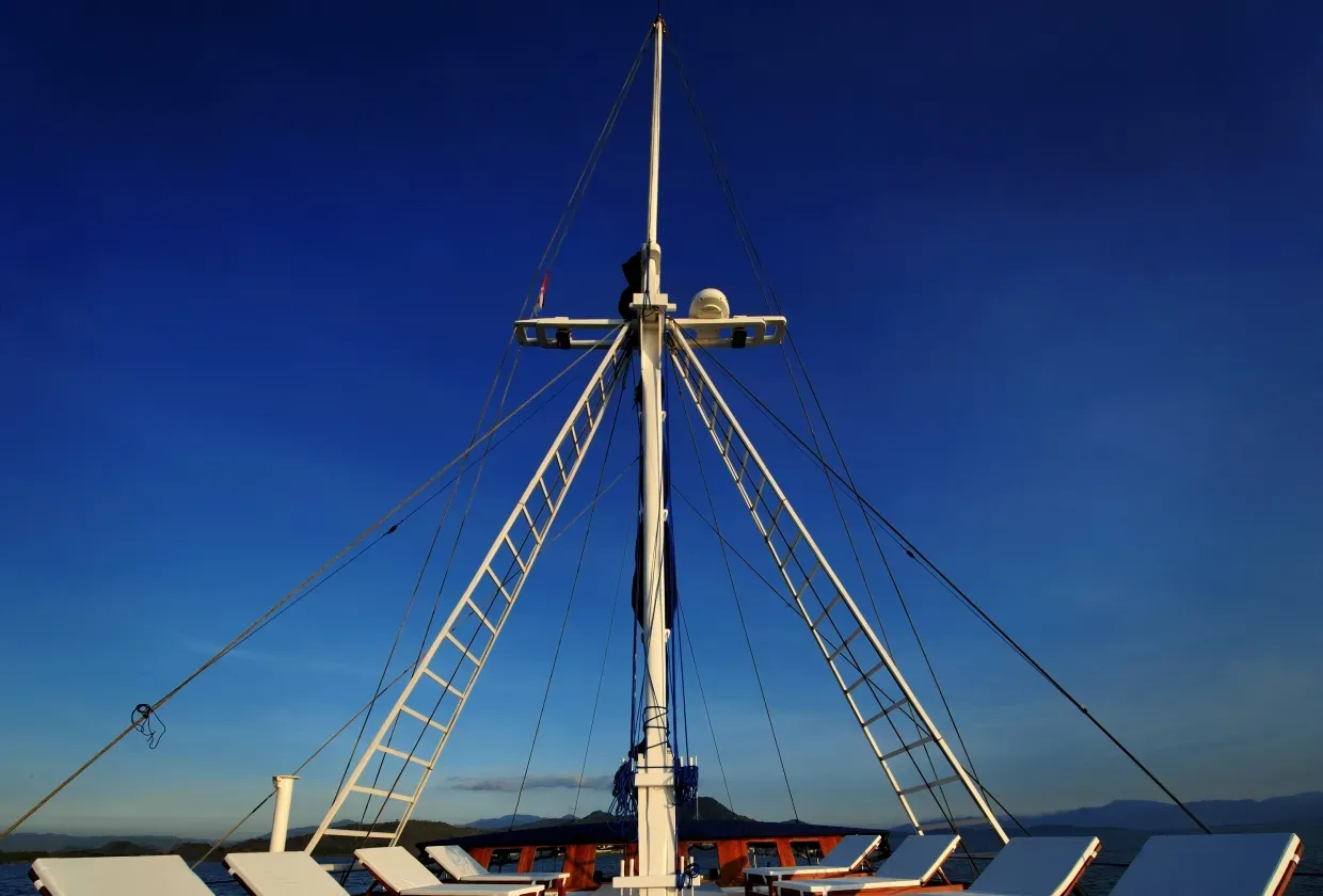 Philippine Siren — фото 5, дайвинг Филиппины