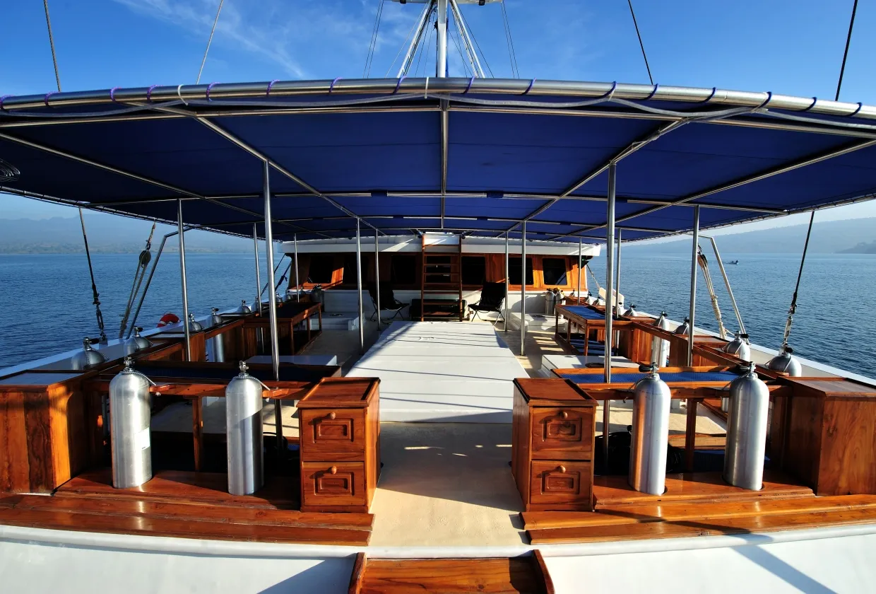 Philippine Siren — фото 6, дайвинг Филиппины