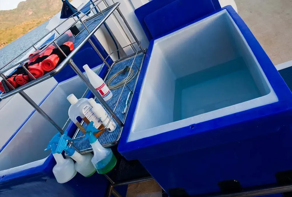 Philippine Siren — фото 7, дайвинг Филиппины