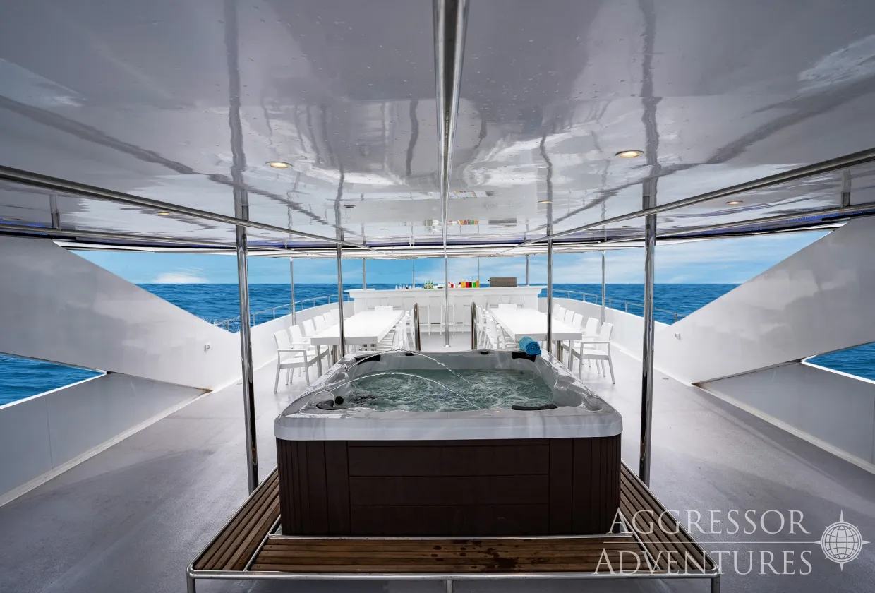 Philippines Aggressor