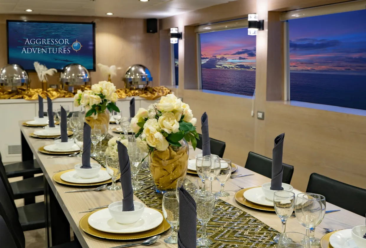 Philippines Aggressor